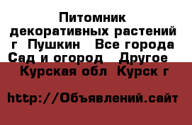Питомник декоративных растений г. Пушкин - Все города Сад и огород » Другое   . Курская обл.,Курск г.